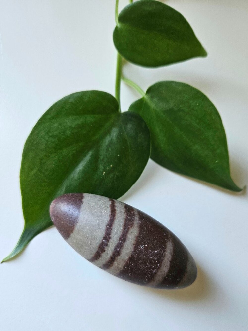 Shiva Lingam Banded Pocket Palm Stone - Boho Decor
